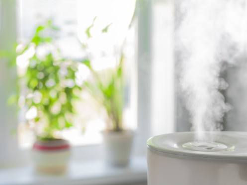 Indoor air quality services